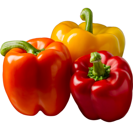 Bell-Pepper